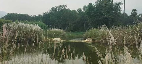 மணிமுத்தாறு பிரதான கால்வாயில் ஏற்பட்டுள்ள உடைப்பு