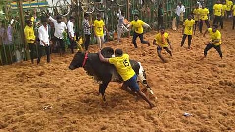 காட்டுப்பட்டியில் ஜல்லிக்கட்டு (கோப்புப் படம்)