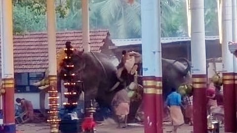 கோயில் திருவிழாவில் பக்தர்கள் கூடாரத்தை தாக்கிய யானைகள்! 3 பேர் பலி; 36 பேர் காயம்!