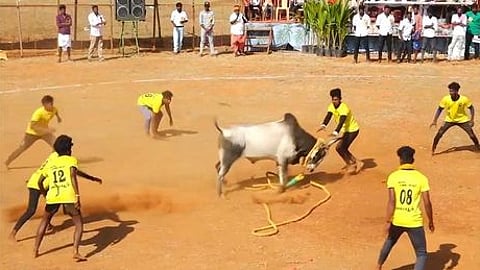 சருகணி கிராமத்தில்
வடமாடு மஞ்சுவிரட்டு