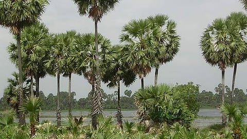 கோப்புப் படம்