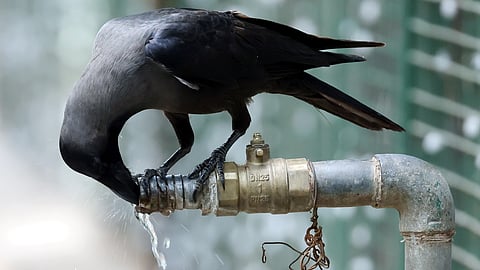 கோப்புப் படம்