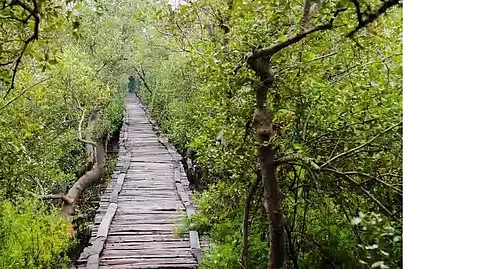 இயற்கையின் கொடை...