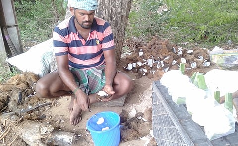 திருநெல்வேலி நகரத்தில் தவுன் விற்பனையில் ஈடுபட்ட விவசாயி.