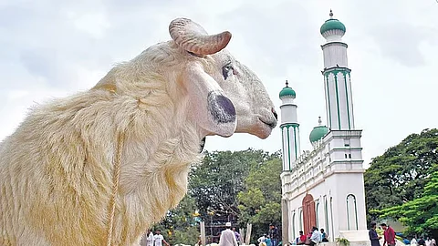 கோப்புப் படம்