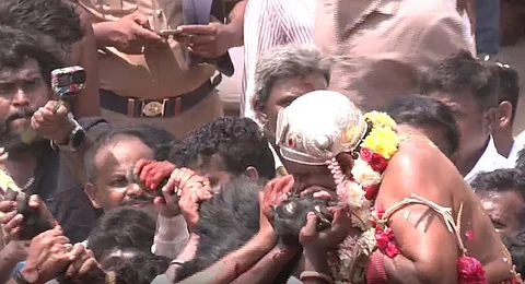 ரத்தத்தை உறிஞ்சி குடிக்கும் மருளாளி.