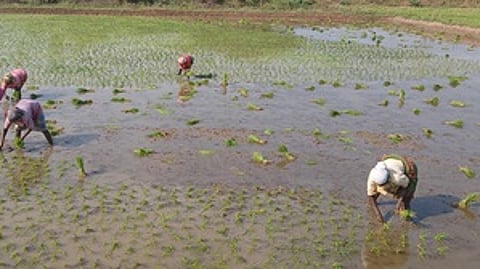 கோப்புப்படம்.