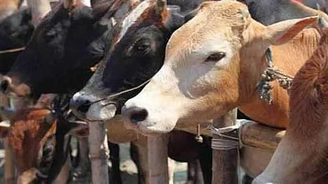 கோப்புப் படம்
