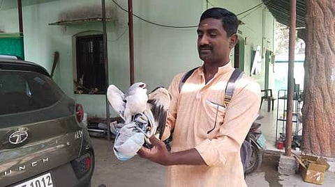 சாலையோரம் அடிபட்டு கிடந்த பருந்து வனத்துறையிடம் ஒப்படைப்பு! இளைஞருக்கு பாராட்டு