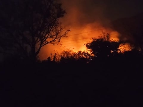 ஏலகிரி மலையில் பற்றி எரிந்த தீ.