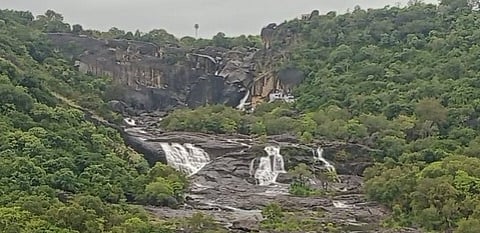 திருநெல்வேலி, தென்காசி மாவட்ட அணைகள் நீா் மட்டம்