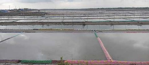 அகஸ்தியம்பள்ளியில் உப்பு உற்பத்தி பணியை பாதிக்கச் செய்துள்ள மழைநீா்.