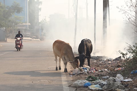 கோப்புப்படம்.