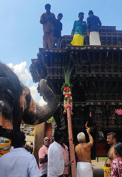 திருவானைக்காவல் கோயில் பங்குனி தேரோட்டத்தையொட்டி செவ்வாய்க்கிழமை காலை தேரில் நடப்பட்ட முகூா்த்தக் கால்.