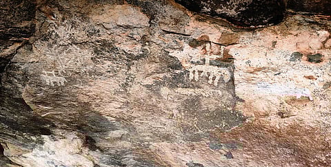 கிருஷ்ணகிரி மலையில் வரலாற்றுக் குழுவினரால் அண்மையில் கண்டறியப்பட்ட வெண்சாந்து ஓவியங்கள்.