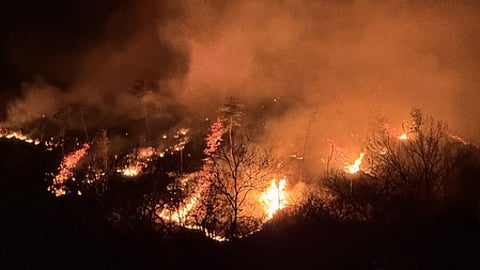 தென் கொரியாவில் ஏற்பட்டுள்ள காட்டுத் தீயினால் அப்பகுதியைச் சுற்றியுள்ள மக்களை வெளியேற்ற உத்தரவு பிறப்பிக்கப்பட்டுள்ளது.