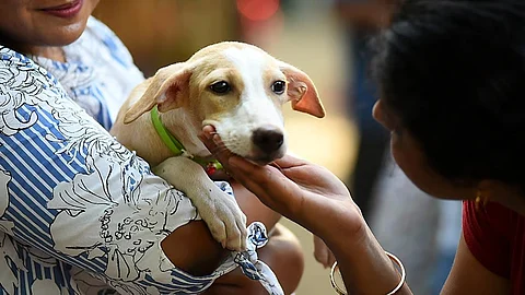 கோப்புப் படம்