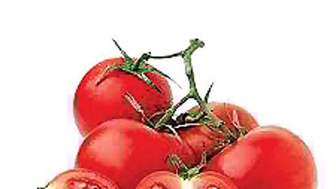 பாட்டி வைத்தியம்...