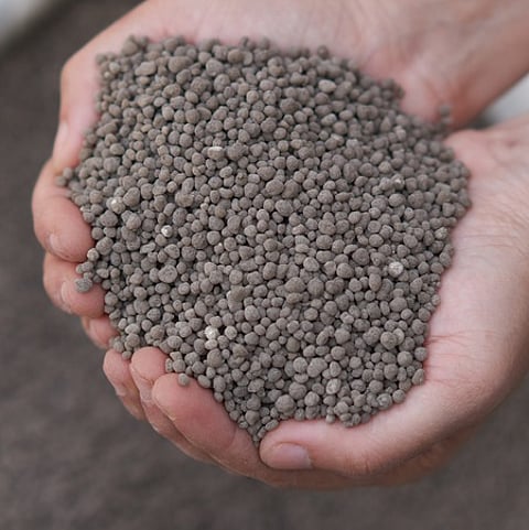 டை-அம்மோனியம் பாஸ்பேட் உரம்