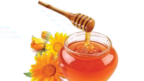 ஆயுள் காக்கும் ஆயுர்வேதம்: பௌத்திரம் மீண்டும் வருவது ஏன்?