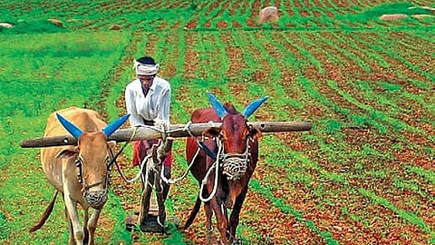 விதிமுறை திருத்தம் அவசியம்!