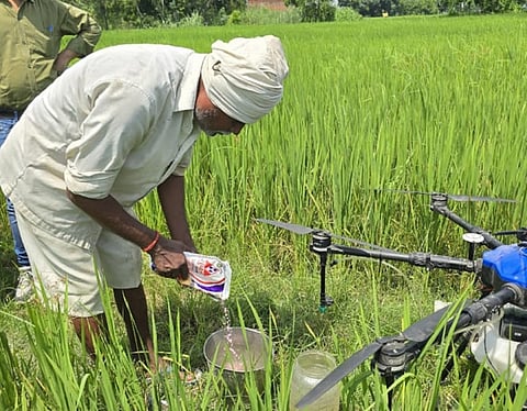 உரத்தொழிற்சாலையில் வேலை: பொறியியல் பட்டதாரிகள் விண்ணப்பிக்கலாம்!