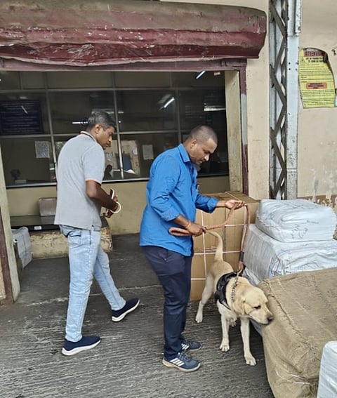 சென்னை சென்ட்ரல் ரயில் நிலையத்தில் உள்ள பாா்சல் அலுவலகத்தில் மோப்ப நாய் உதவியுடன் சோதனையில் ஈடுப்பட்ட ரயில்வே போலீஸாா்.