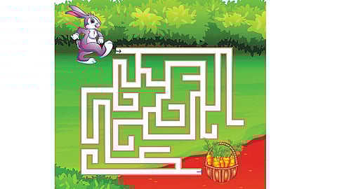 வழிகாட்டுங்கள்