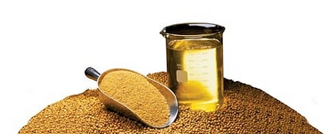 பிண்ணாக்கு ஏற்றுமதி 21% சரிவு