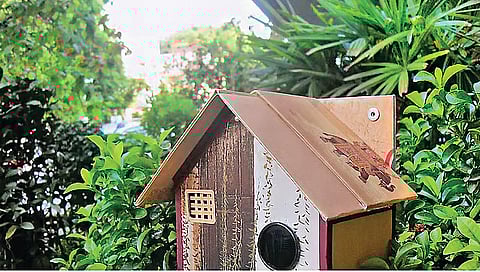 ஓ.. குருவி.. சிட்டுக் குருவி..