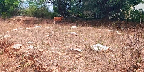 பெத்தநாயக்கன்பாளையம் வட்டம், தும்பல் கிராமத்தில் உள்ள 3000 ஆண்டுகள் தொன்மையான கல்வட்டம்.