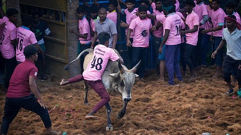 கோப்புப்படம்.