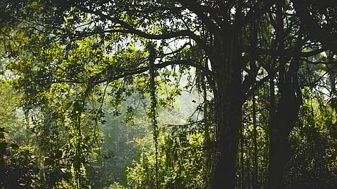 வரவேற்புக்குரிய முயற்சி!
