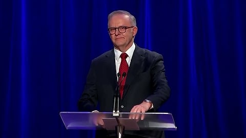 ஆல்பனேசி