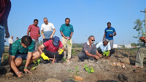 1.50 லட்சம் மரக்கன்றுகள் நடவு செய்யும் பணி தொடக்கம்
