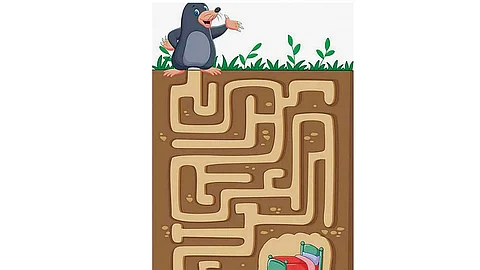 வழிகாட்டுங்கள்