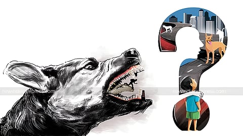 ரேபிஸ்: அச்சம் தவிா்.. தடுப்பூசி தவறேல்..!