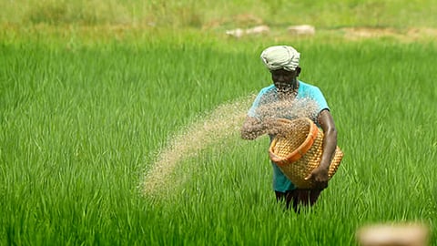 மண்ணின் வளம் நாட்டின் நலம்!