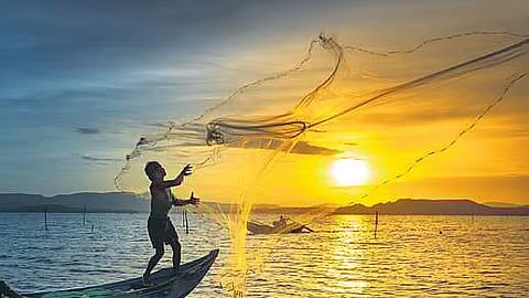 வேளாண்மை, மீன் வளத்தில் தமிழகம் முதலிடம்! அரசு தகவல்