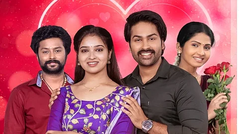 மனசெல்லாம் தொடரில்...