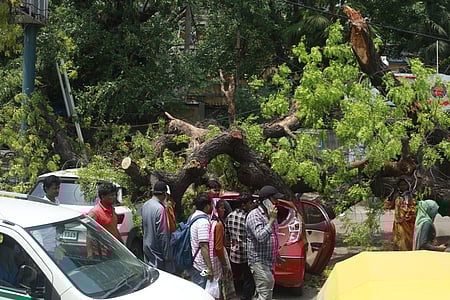 இன்று இடி, மின்னலுடன் மழைக்கு வாய்ப்பு: ஐஎம்டி கணிப்பு