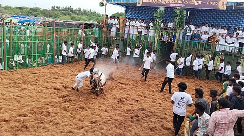 கீழவேகுப்பட்டி ஏகாளி அம்மன் கோயில் திருவிழா ஜல்லிக்கட்டுப்போட்டியில் காளைகளை அடக்கும் காளையர்கள்