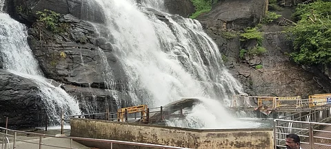 குற்றால அருவி (கோப்புப்படம்)