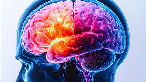 Lacking focus, tired always? Could be brain fog