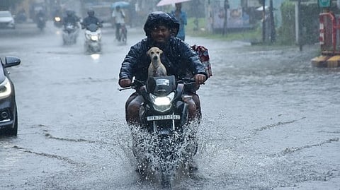 9 மாவட்டங்களுக்கு நாளை
கனமழைக்கான மஞ்சள் எச்சரிக்கை!