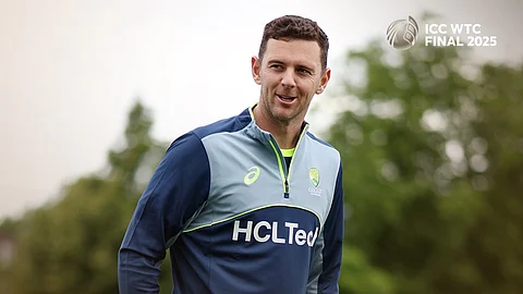 josh Hazlewood / icc