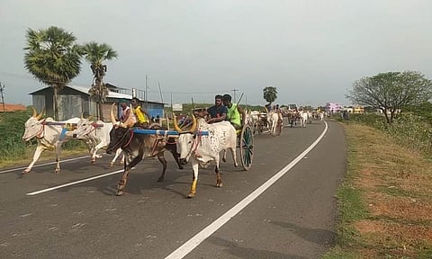 சிவகங்கை அருகே நாட்டரசன்கோட்டையில் புதன்கிழமை நடைபெற்ற மாட்டு வண்டி பந்தயத்தில் பாய்ந்து சென்ற காளைகள்.