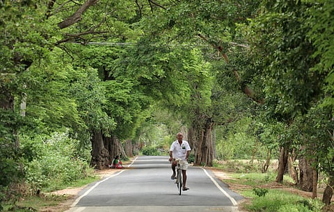 அசாம் கிராமம் - பிரதி படம்