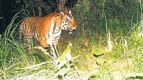 பிரதிப் படம்