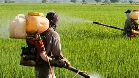 கோப்புப் படம்